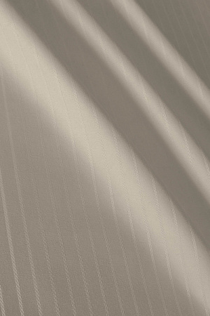 f0e269da-4ef8-42ac-aa59-34d2b3d1165b